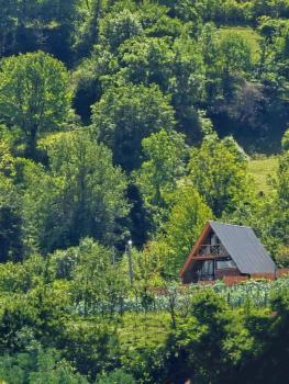 Alagi ალაგი, Ambrolauri (Foto 2)