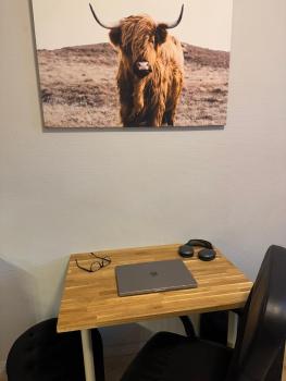 Studio in Frogner by Aker Brygge, Oslo (Foto 5)