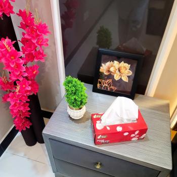 Studio flat, Islamabad (photo 4)