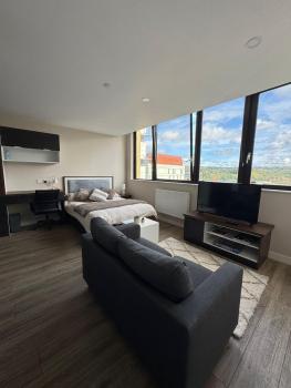 Modern Studio with City Views, Sheffield (zdjęcie 4)