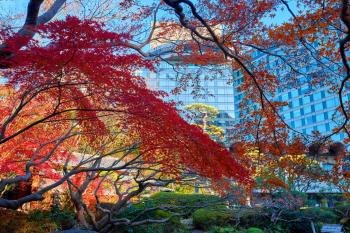 Hotel New Otani Tokyo Garden Tower, Tokio (Foto 2)