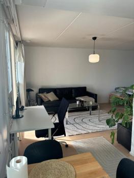 Cozy Studio with Private Sauna in a Peaceful Area, Helsinki (Foto 3)