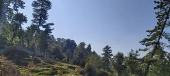 Mount Heaven Hotel Murree, Murree (photo 3)