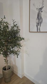 Apartamento Menina Santa Ana, Córdoba (photo 5)