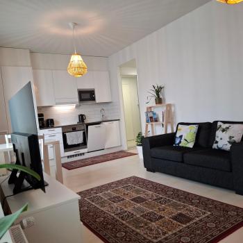 1BR Cozy Apartment About 10 Min Walk to City Center Helsinki, Helsinky (fotografie 4)