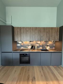Zentrales Dachgeschoss-Apartment Augustenstraße, Monaco di Baviera (foto 5)