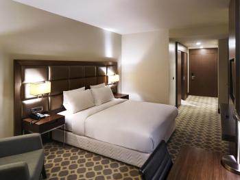 Mercure Istanbul West Hotel & Convention Center, Istanbul (fotografie 3)