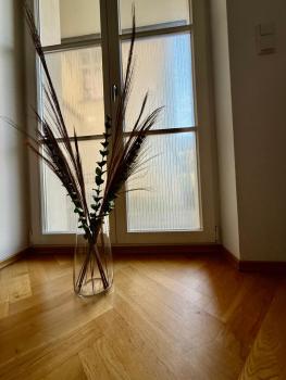 Modernes Apartment im Süden Leipzigs, Lipsko (fotografie 3)