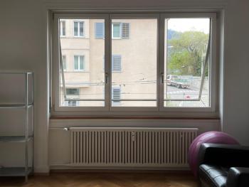Charming 2 Room Apartment in Peaceful Brunau, Curych (fotografie 4)