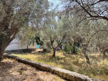 Aparments in the olives, Becici (photo 5)
