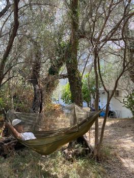 Aparments in the olives, Becici (photo 4)