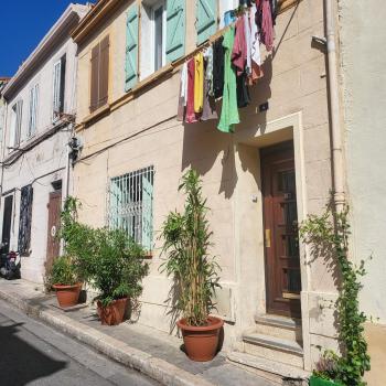 bambou house x Jardin calme centre-ville, Marseille (photo 2)