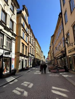 Live in History Entire Historic House, Stockholm (photo 5)