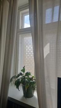 private apartment in the heart of Kallio, Helsinki (photo 4)