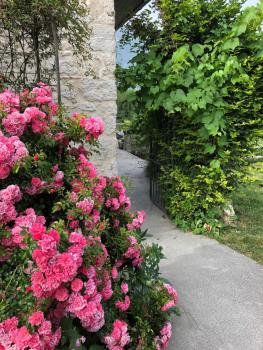 La Tranquilitude, Ceyzérieu (fotografie 4)