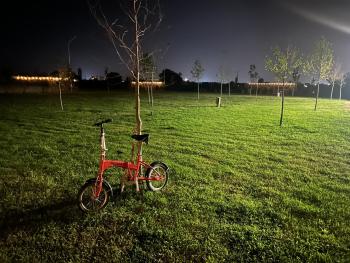 Treeolives, Szkodra (zdjęcie 5)