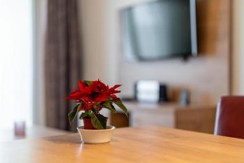 Apartment 207, Feldberg (foto 5)