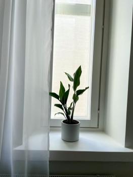 Beautiful & Peaceful City Apartment in the Heart of Helsinki, Helsinki (photo 5)