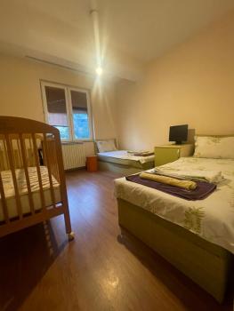 VEZO Apartment, Skopje (photo 5)