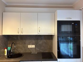 Cat Garden Classic Apartments Riga, Riga (foto 4)