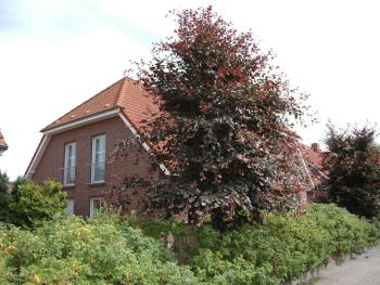No 8 in Haus Windhuk, Zingst (fotografie 2)