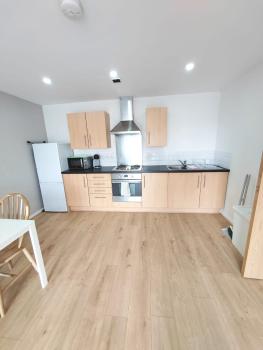 Modern 2 Bedroom Flat close to City Center Camp Street, Manchester (foto 4)