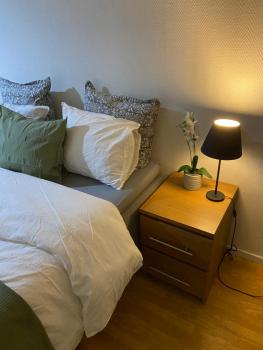 Studio Apartment in Gothenburg, Göteborg (foto 2)