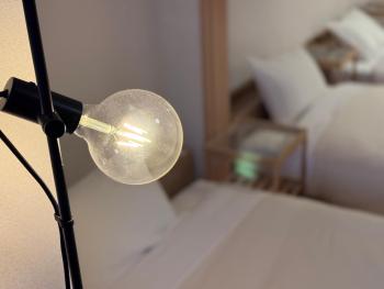 アオトハル, Okajama (fotografie 4)