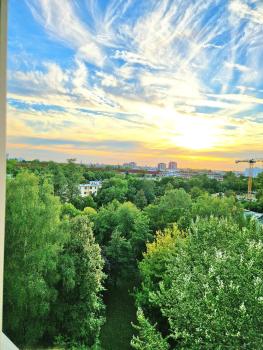 Spacious Cozy Trendy Room in Green Area 12 min to Downtown, Berlino (foto 3)