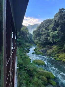 天然温泉旅館 繁花荘せせらぎ, Kirishima (foto 5)