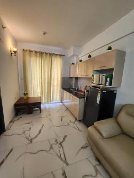 Infinity Homes, Gurgaon (photo 4)