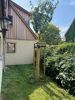 Quiet apartment in Dresden, Drážďany (fotografie 2)