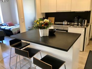 Scandinavian Desing Home 1BR City Center in Kamppi 37, Helsinky (fotografie 3)