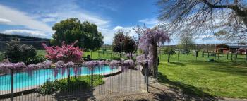 Dewdrop Cottage, Hastings (fotografie 3)