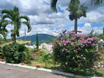 Mandeville Hideaway, Mandeville (fotografie 2)