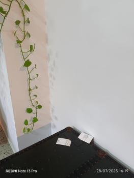 Maison Retrò Napoli, Naples (photo 4)