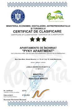Pyky Apartment, Baia Mare (photo 3)