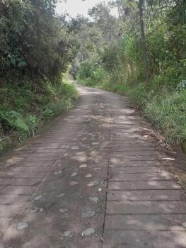 Casita el mirador solo naturaleza, Medellín (fotografie 5)