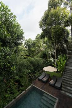 Architect 3BR Villa - Edge of the Jungle, Ubud (Foto 5)