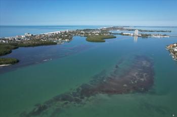 6415 Midnight Pass #805, Siesta Key (fotografie 5)