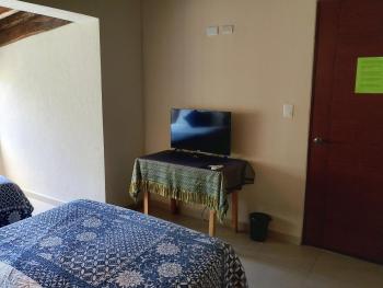Bed and Breakfast Pecarí, Cancún (foto 5)