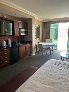 MGM Grand no resort fee , balcony, free valet parking, Las Vegas (foto 3)