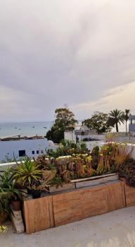 Arabesque studio, Hammamet (photo 3)