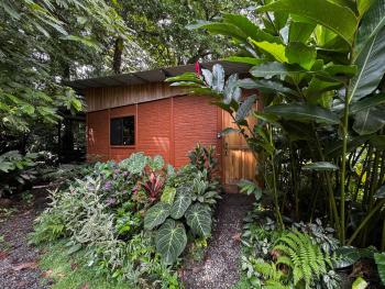The frog house, Fortuna (Foto 5)