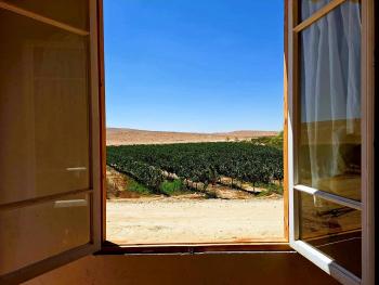 כרם שיזף, Micpe Ramon (fotografie 5)