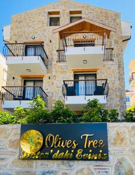 olives tree, Datça (fotografie 2)