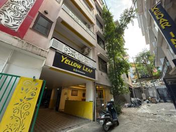 Yellow Leaf, Rishikesh (foto 3)