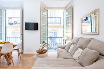 Apartamento Centro Histórico I, Málaga (photo 2)