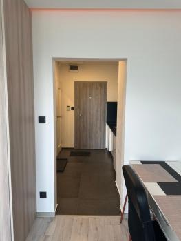Light apartment near City Center with easy transport access, Братислава (фото 5)