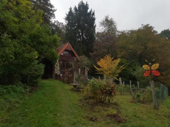 Domek Samotnia w ogrodzie, Cracovia (foto 2)